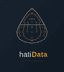 HatiData
