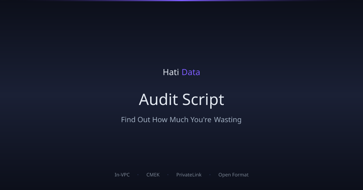 Audit Script — See Your Compute Waste | HatiData | HatiData